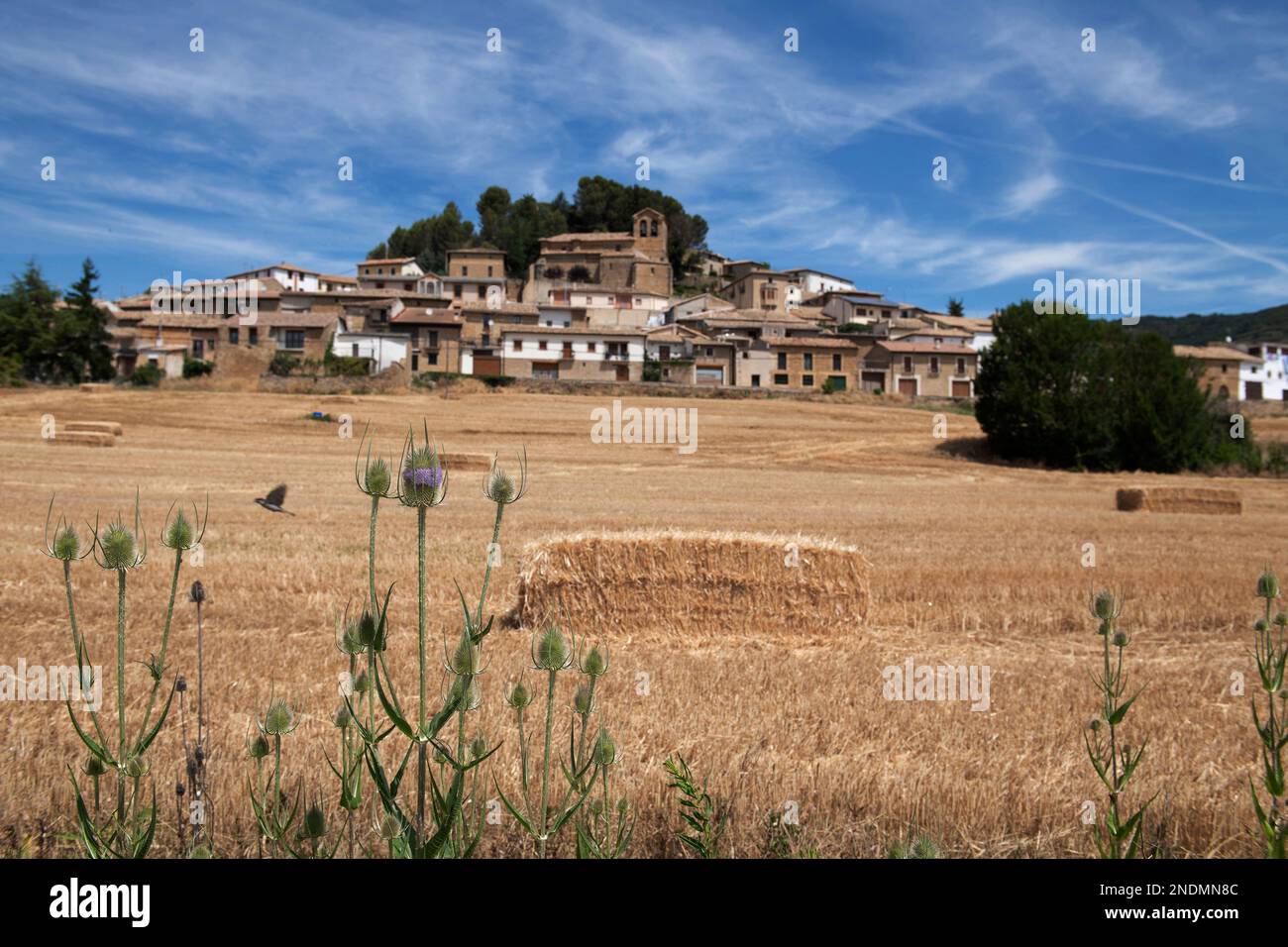 Haystack with thistles in foreground, Eslava village, Navarre province, Spain, Europe Stock Photo
