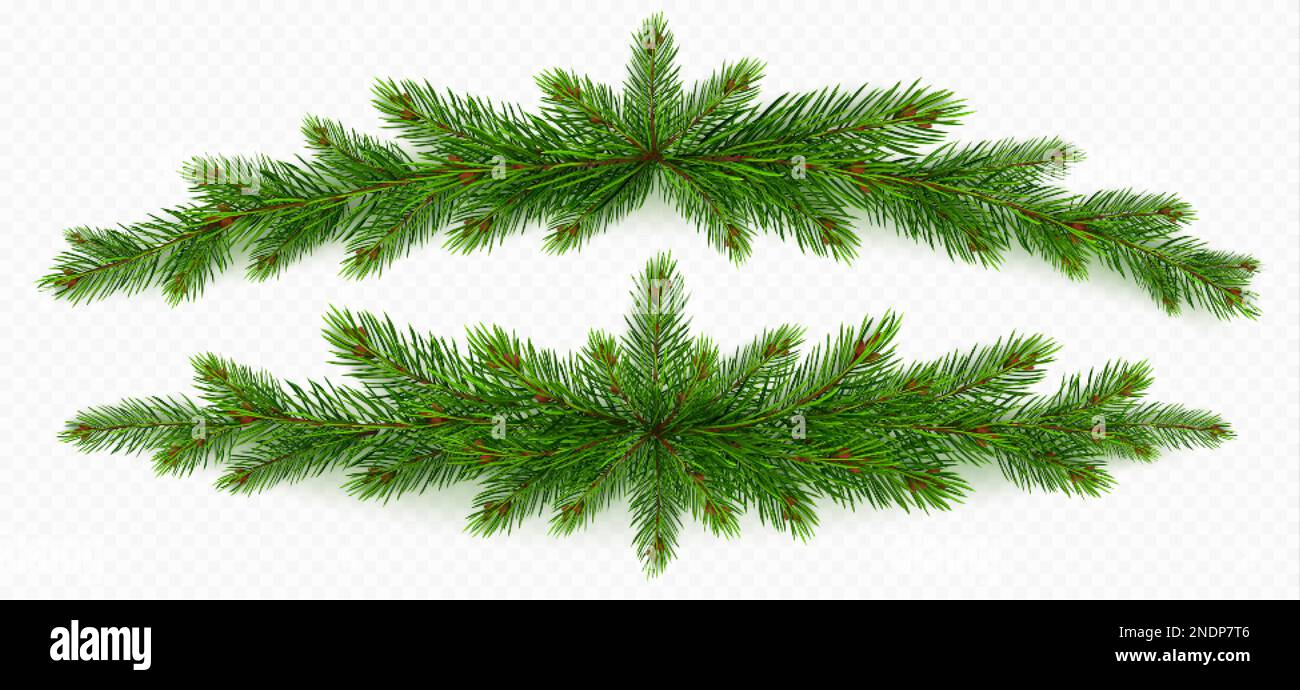 Christmas background with green Pine Branches. Vector Stock Vector Image &  Art - Alamy