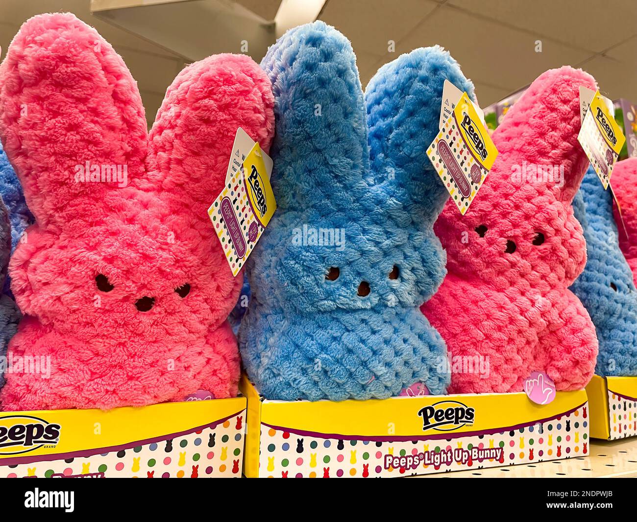 https://c8.alamy.com/comp/2NDPWJB/suffern-ny-usa-feb-4-2023-landscape-image-of-pink-and-blue-peeps-light-up-bunnies-lined-up-on-a-drugstore-shelf-for-the-easter-holiday-2NDPWJB.jpg