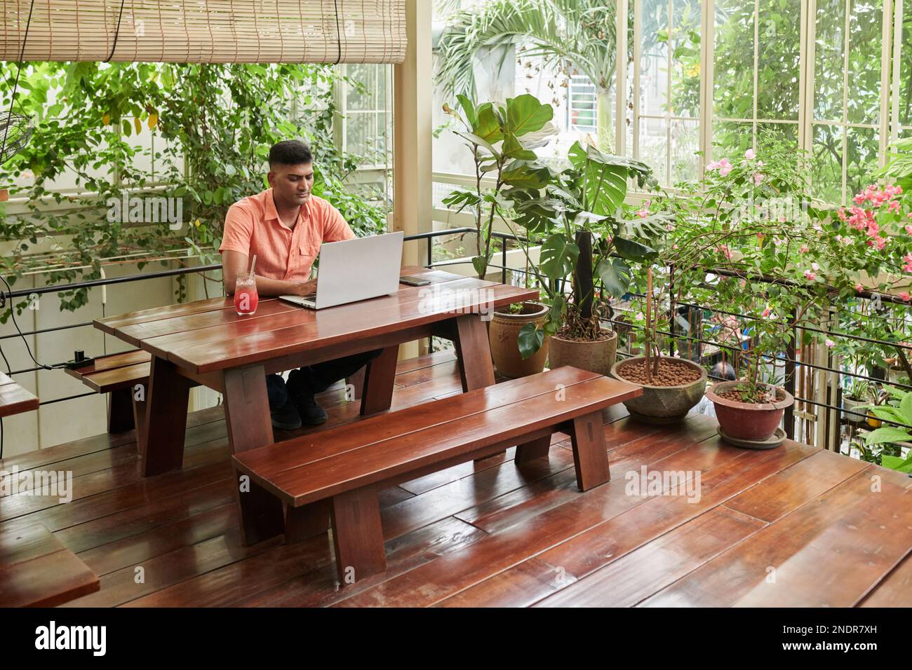 Serious Indian developer sitting at cafe table and working on laptop Stock Photo