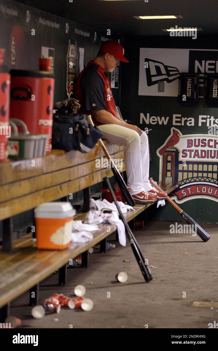 St. Louis Cardinals hitting coach Mark McGwire is seen in the dugout