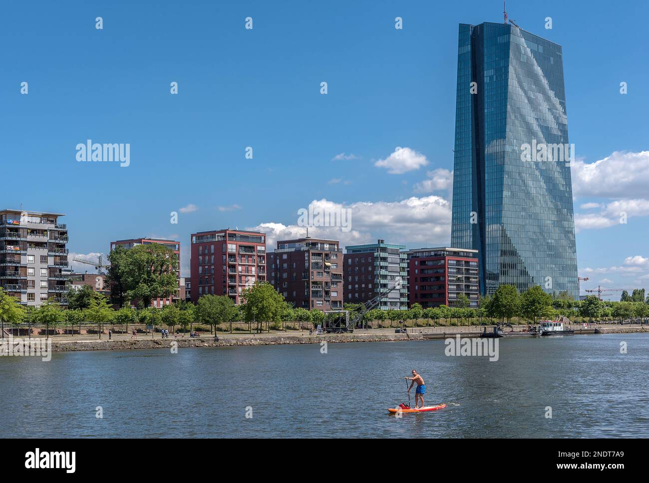 View across the river Main to the European Central Bank, Frankfurt, Germany Stock Photo