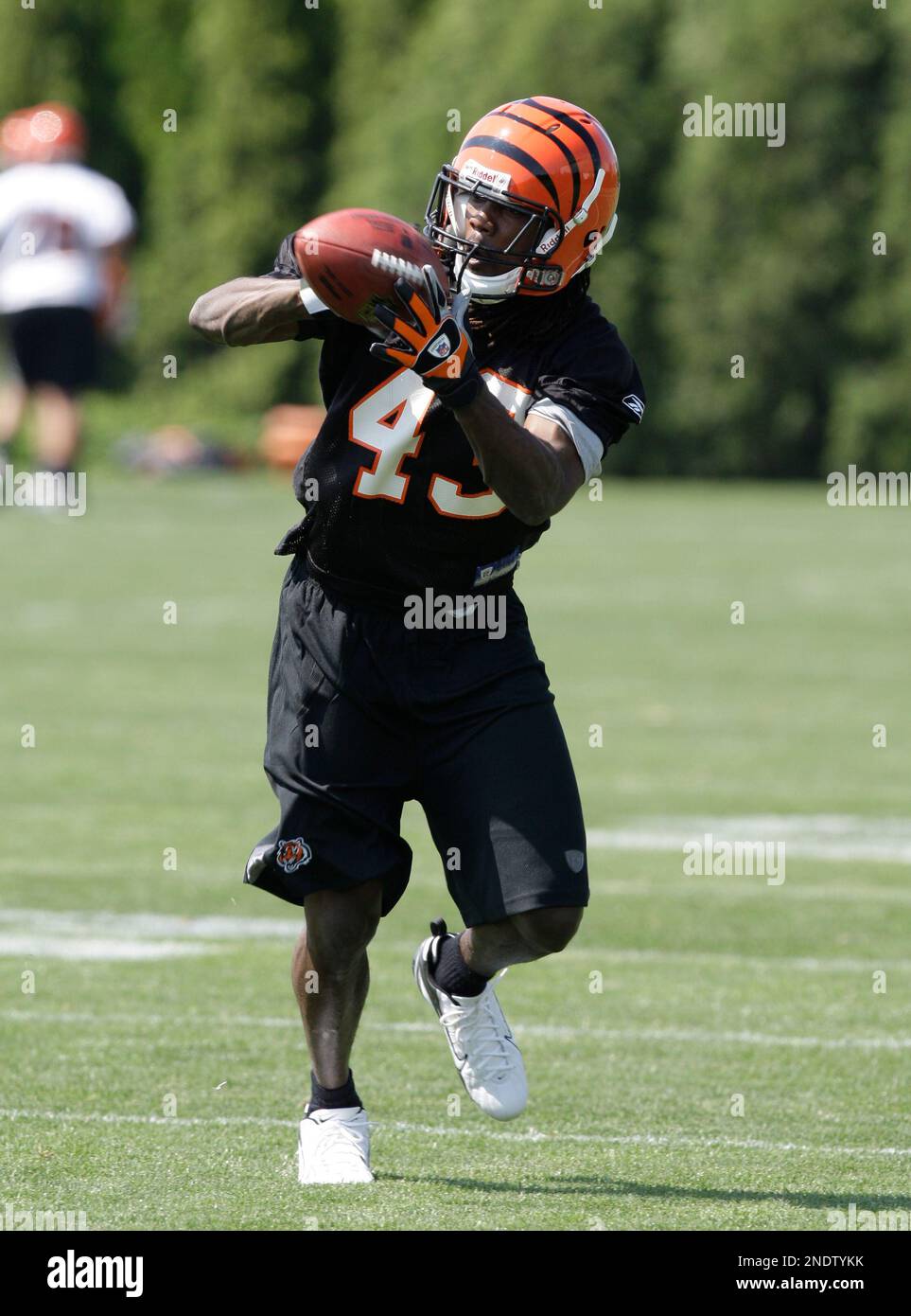Cincinnati Bengals safety Richard Raglin (43) during the NFL football ...