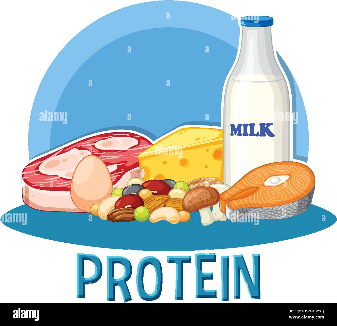 Variety of protein foods with text illustration Stock Vector Image