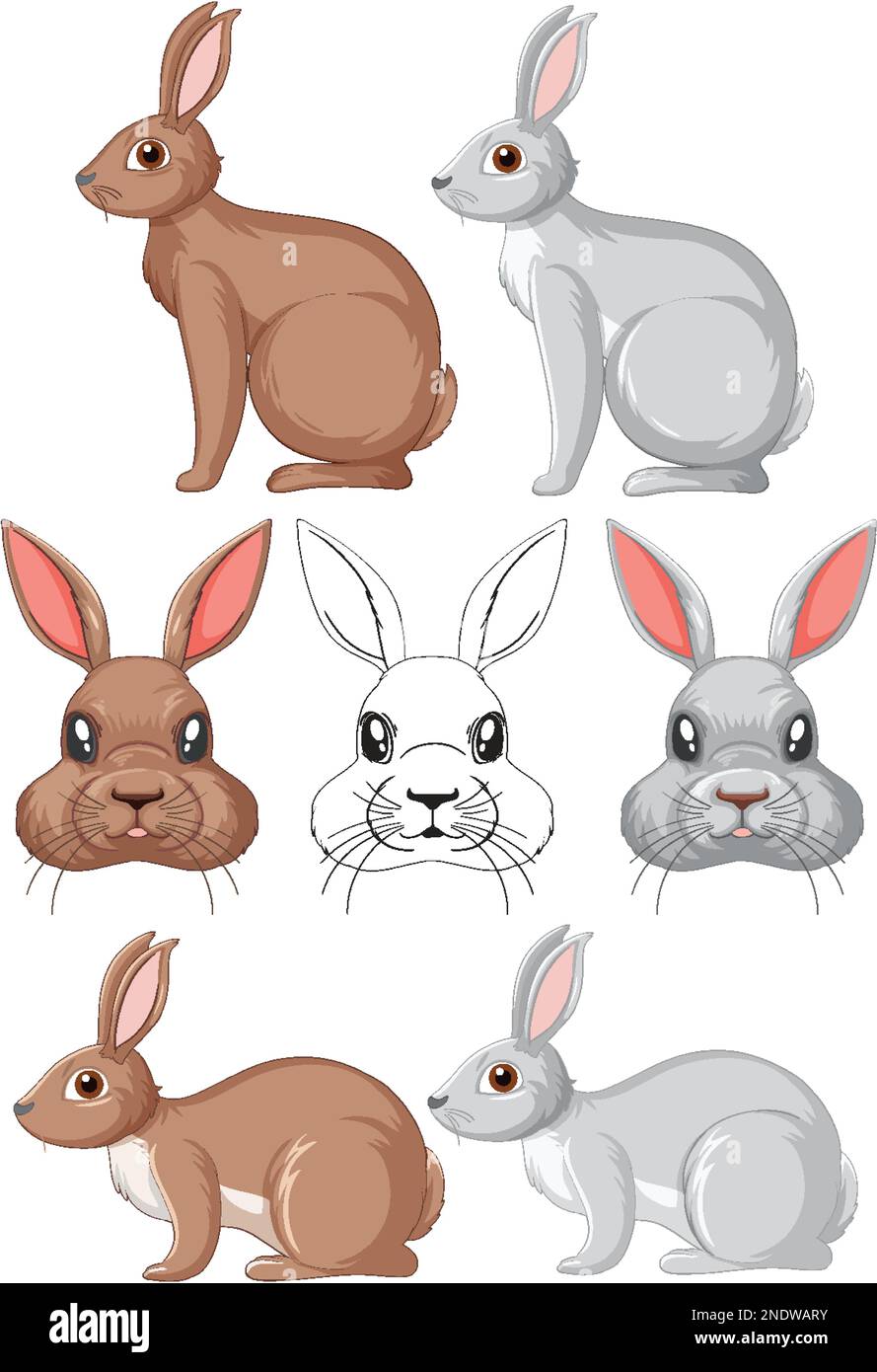 Cute rabbit cartoon character collection illustration Stock Vector ...