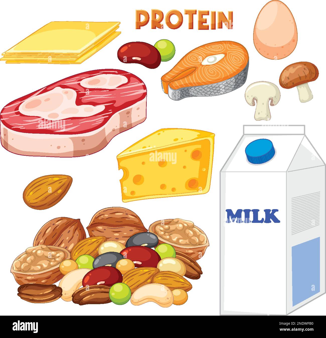 Variety of protein foods with text illustration Stock Vector Image