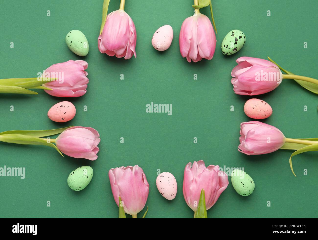 Frame made of beautiful tulip flowers and Easter eggs on green background Stock Photo