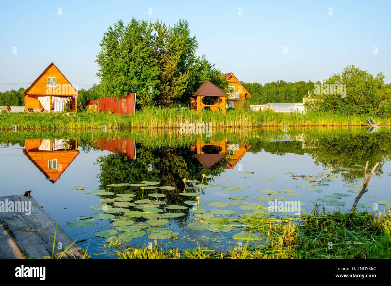 A small pier made of boards in the garden by the pond among grass and water lily flowers against the backdrop of wooden cottages during the day. Stock Photo