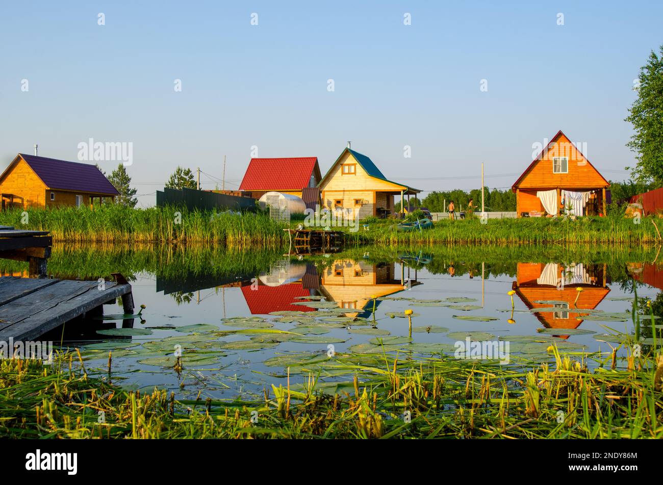 A small pier made of boards in the garden by the pond among grass and water lily flowers against the backdrop of wooden cottages. Stock Photo
