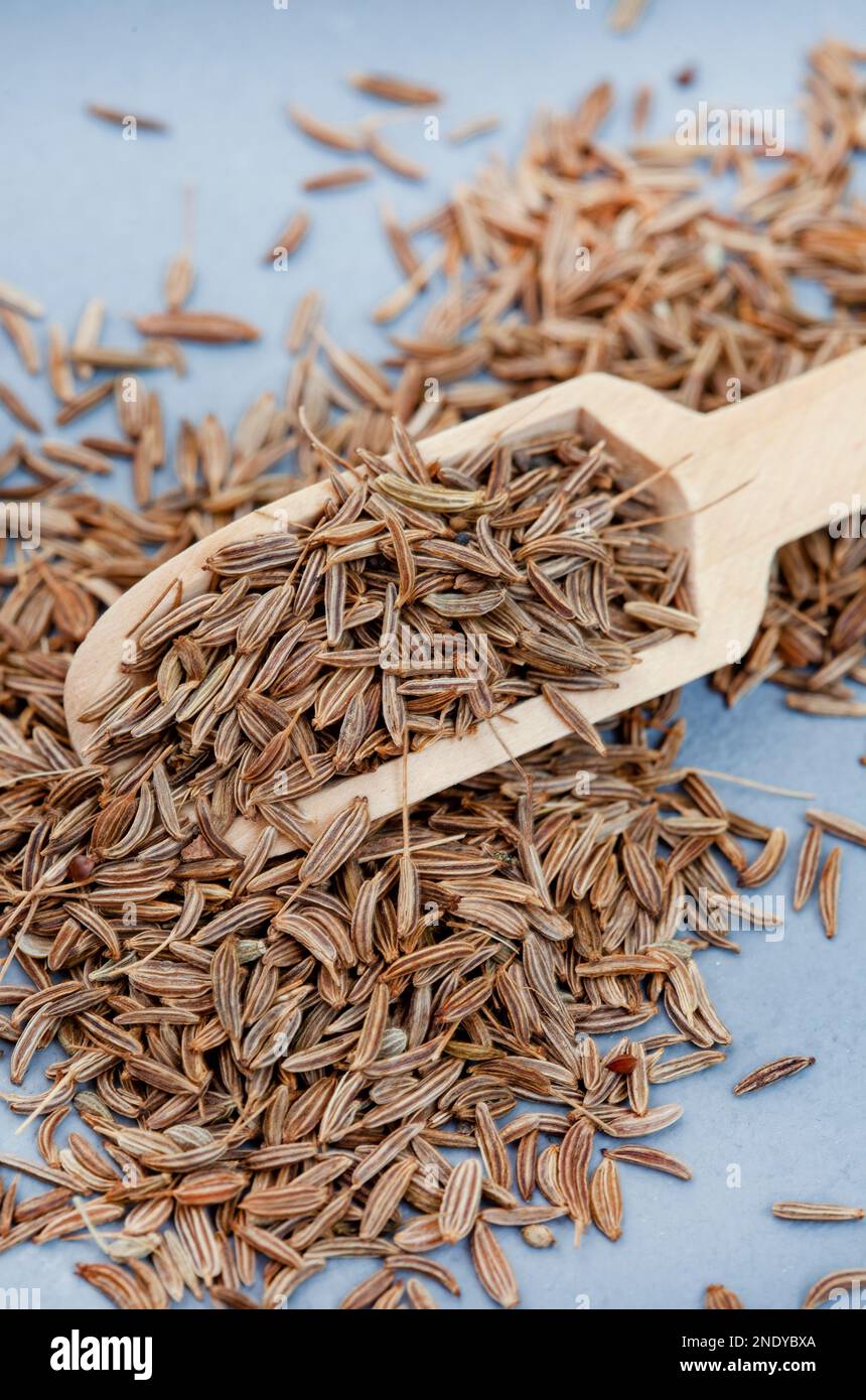 Caraway or Cumin seeds close up with selective focus in wooden scoop Stock Photo