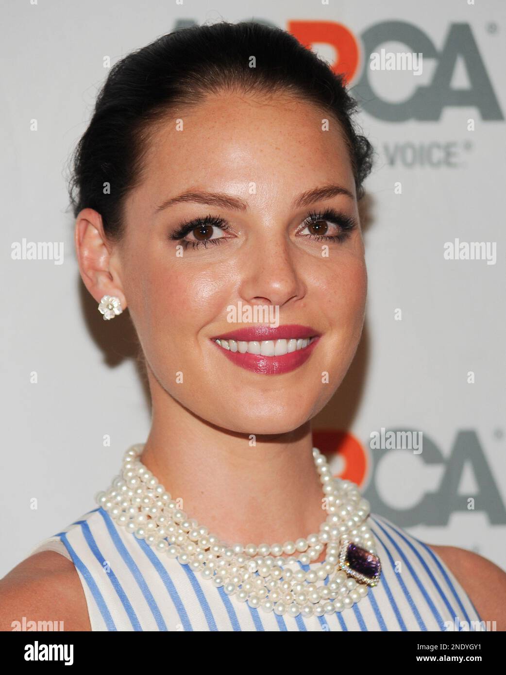 Actress Katherine Heigl attends the 13th Annual ASPCA Bergh Ball at the ...