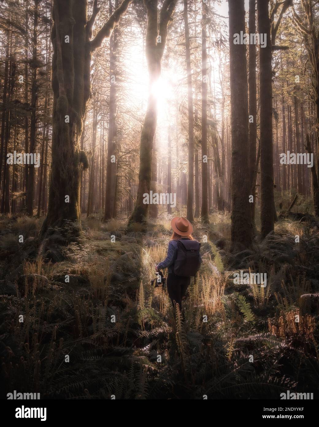 girl walking in a dreamy forest during sunrise Stock Photo