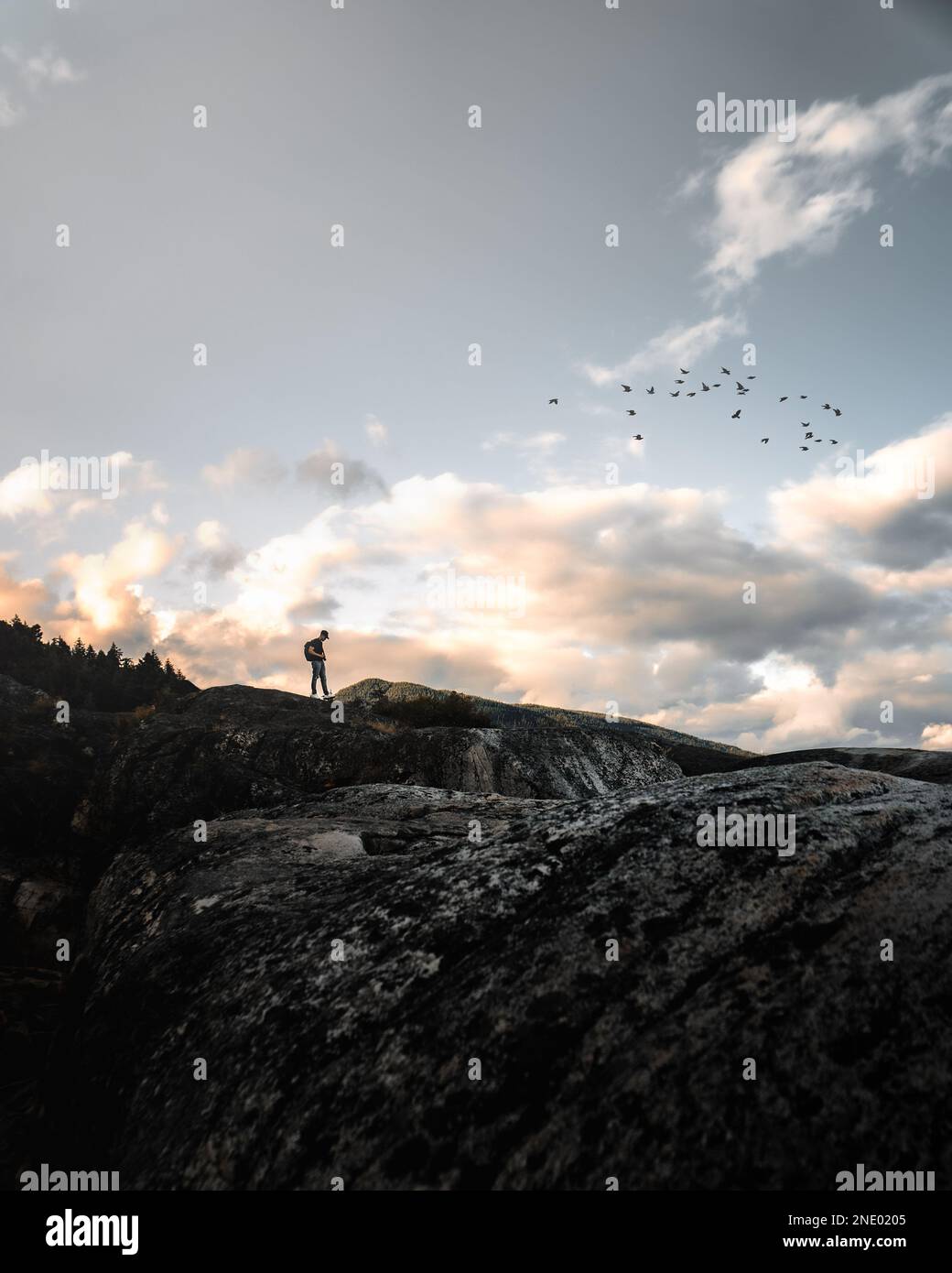 man standing on mountain with birds flying above Stock Photo