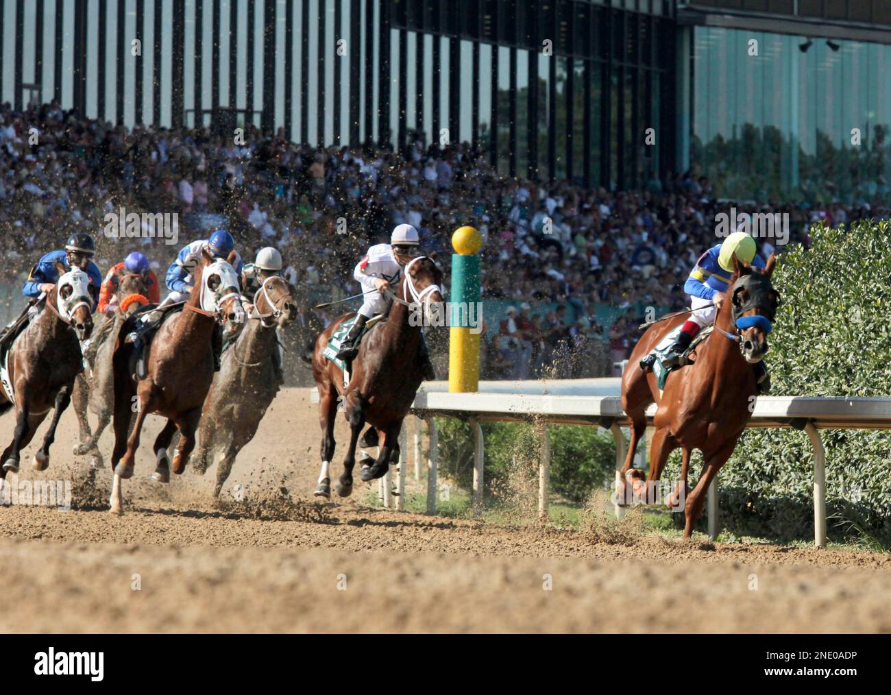 Line of David and jockey Jon Court, far right, lead the field into the