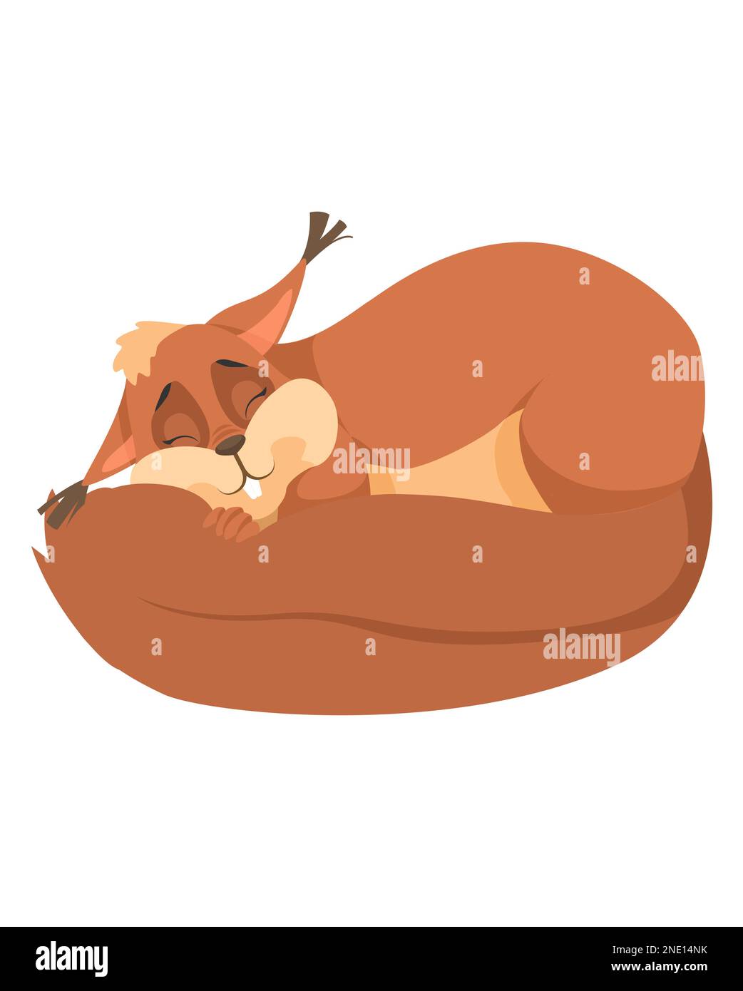 Cute sleeping squirrel cartoon vector on white Stock Vector