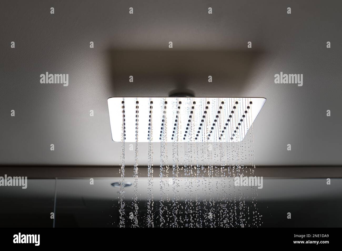 Water flows from the tropical shower. Large water consumption. Chrome