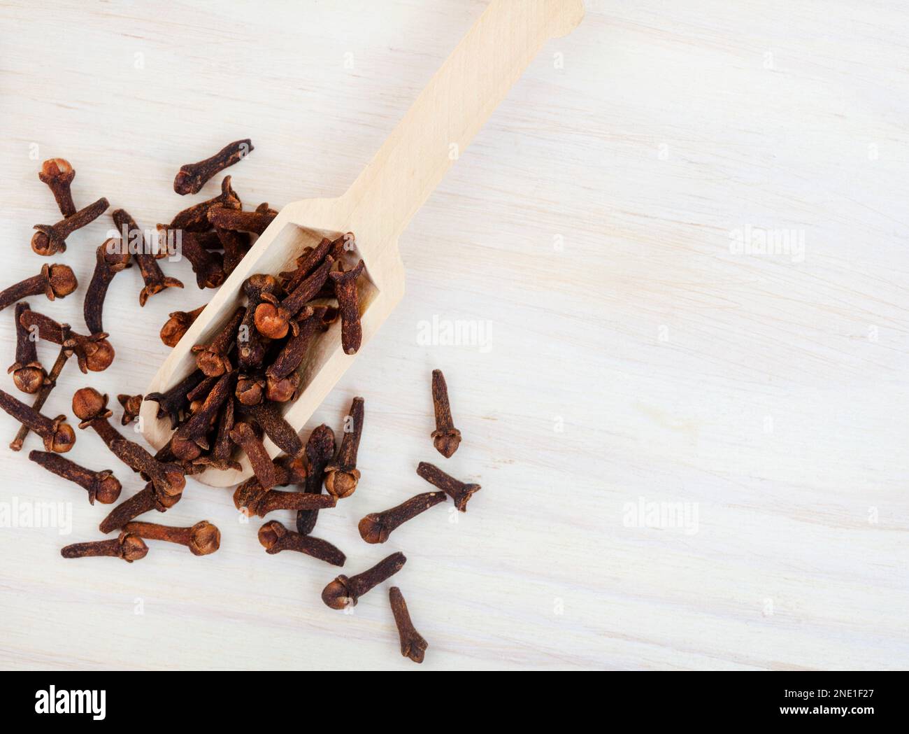 flat lay with scoop of whole cloves on light wood with copy space Stock Photo