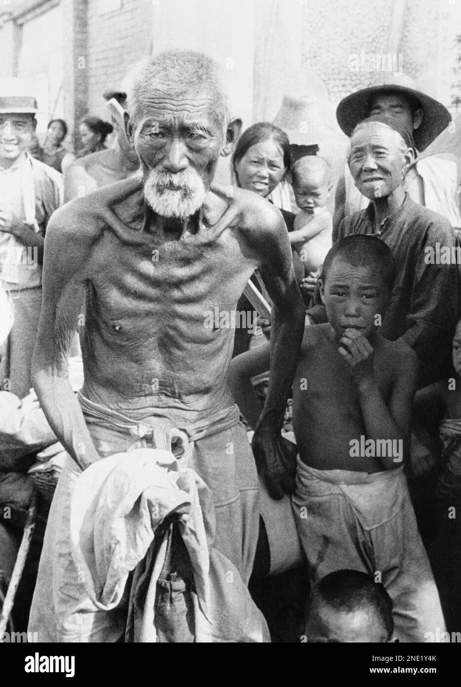 On the verge of death from starvation, this decrepit and emaciated ...