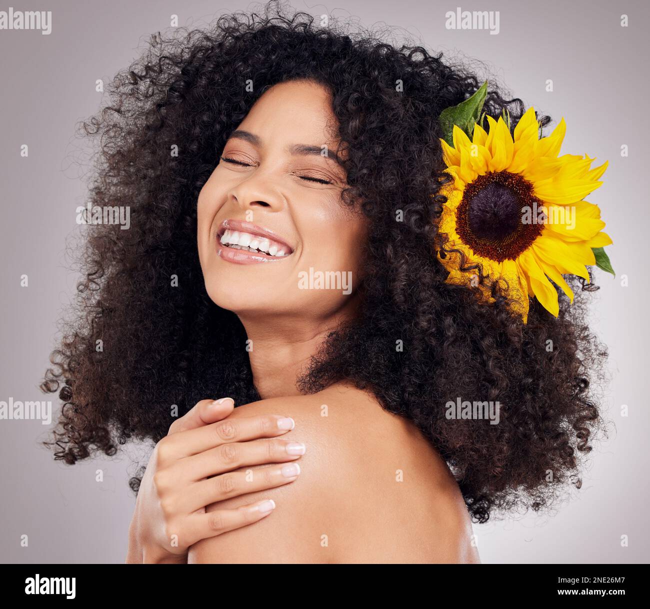Portrait, happy or face of black woman with sunflower in hair in studio ...