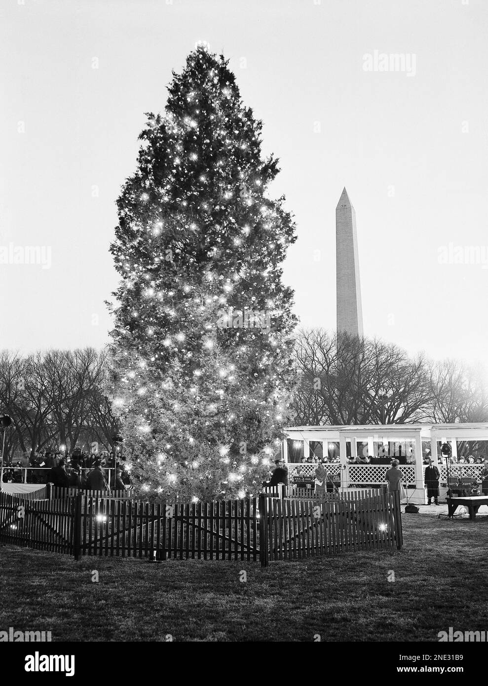 Starred with many lights is this national Christmas tree which was set