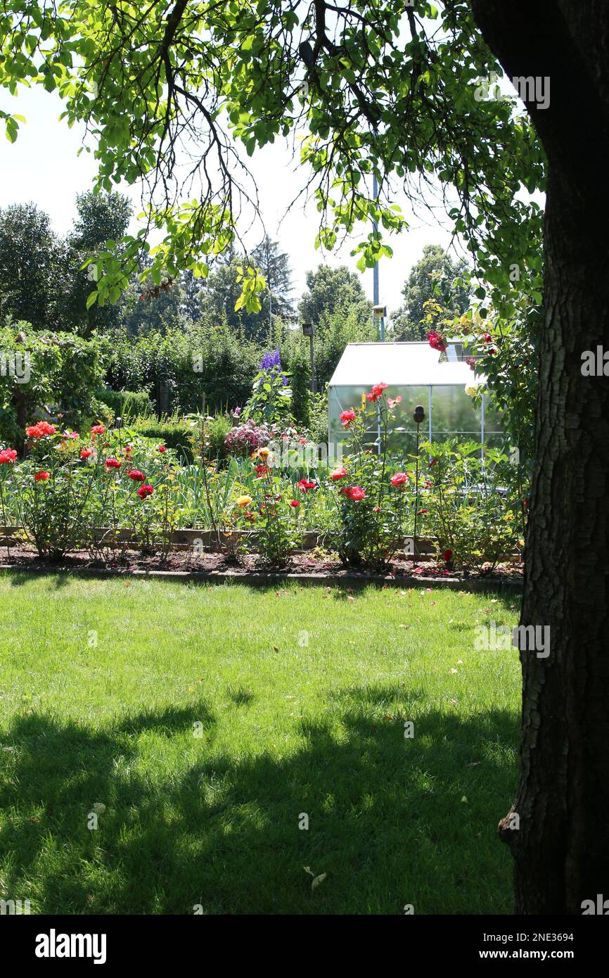 Wunderschöne Blumen in einem Bauerngarten in Deutschland Beautiful