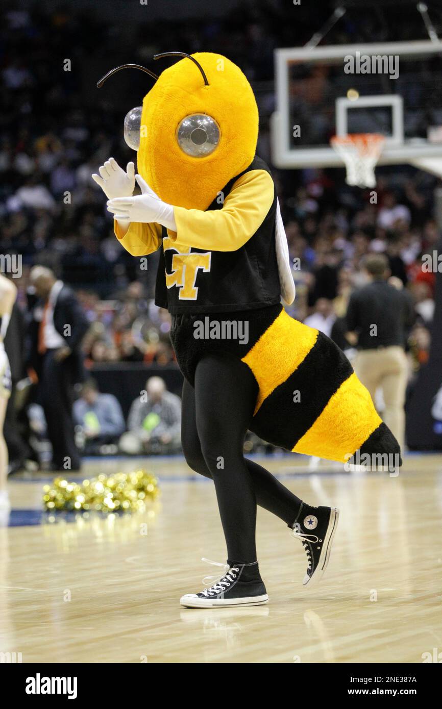 Buzz georgia tech clearance mascot