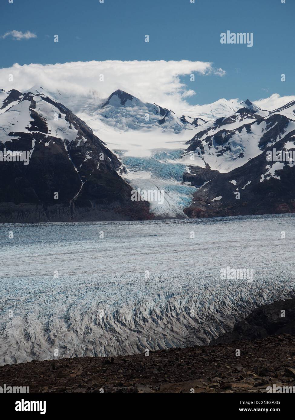Grey Glacier from John Garner Pass, Torres del Paine, Chile Stock Photo