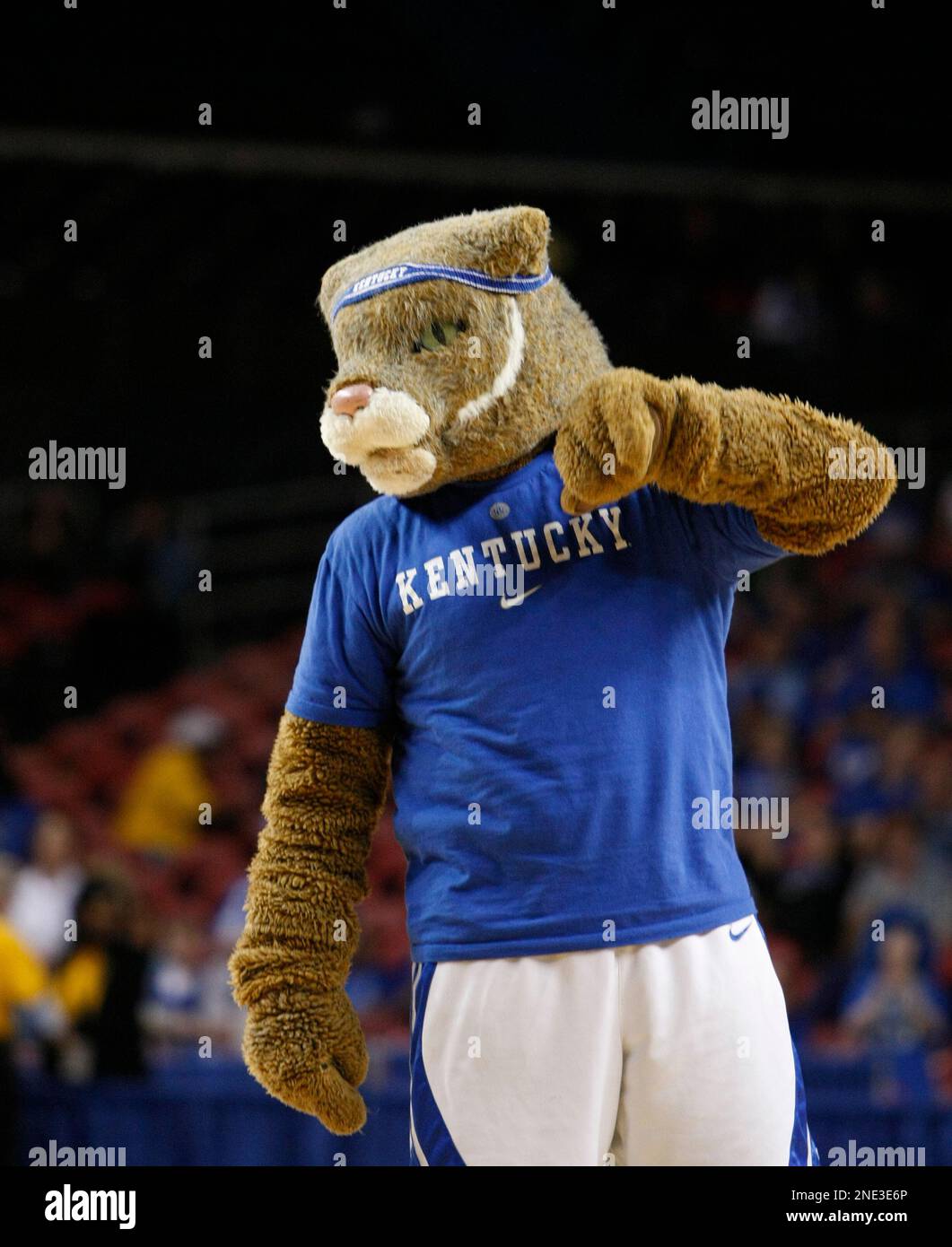 November 25, 2017; Memphis, TN, USA; Memphis Tigers Mascot, POUNCER, and  cheerleaders performing during an intermission in NCAA D1 basketball action  against NKU. The Memphis Tigers defeated the Northern Kentucky Norse, 76-74.