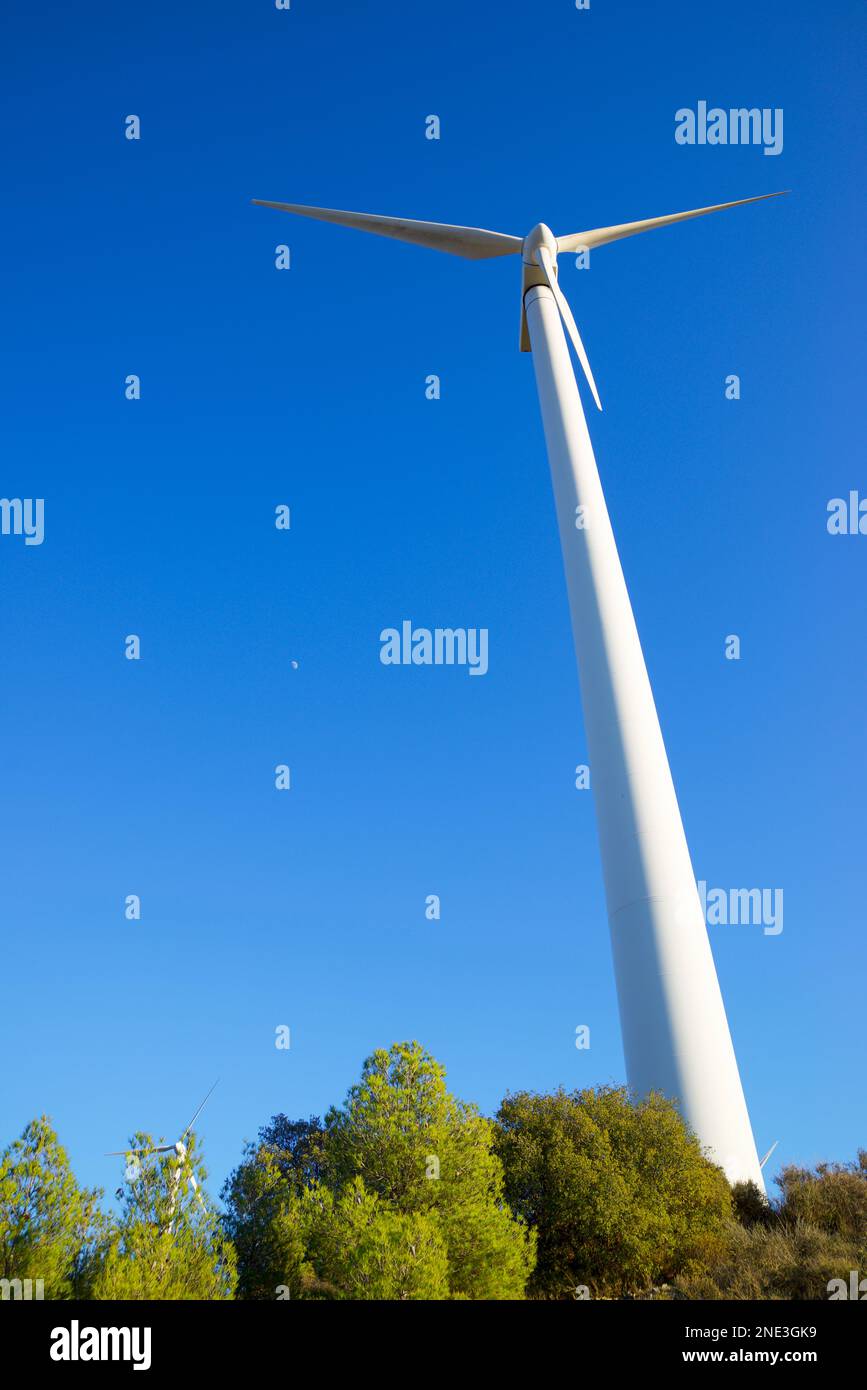 Wind turbines generator for sustainable electrical energy production