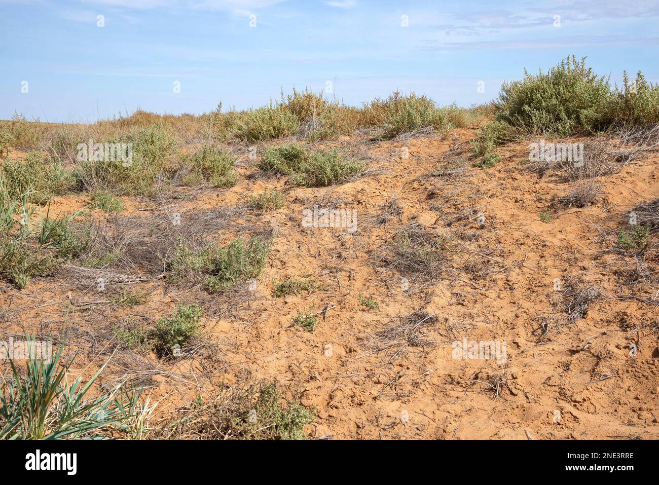 Anthropological desert 'Black Lands'. Republic of Kalmykia, Russia Stock Photo