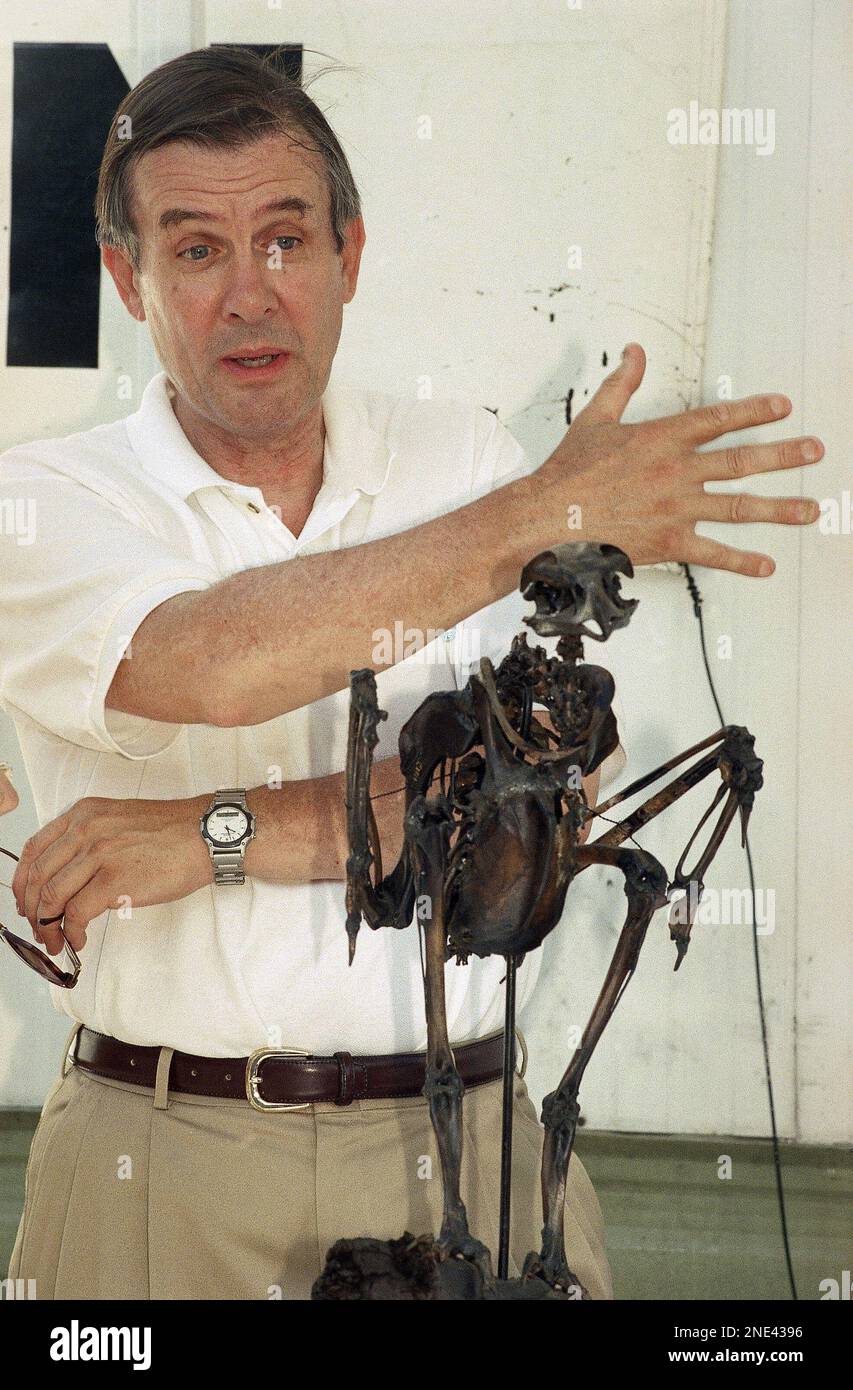 John Harris, the chief curator and head of paleontology at Los Angeles