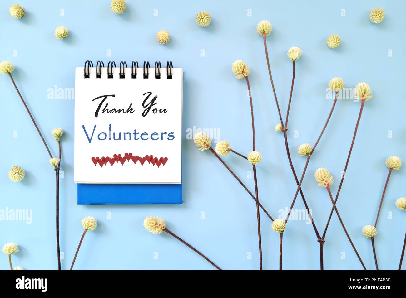Thank You Volunteers message on blue notepad card with minimalist natural design. Stock Photo