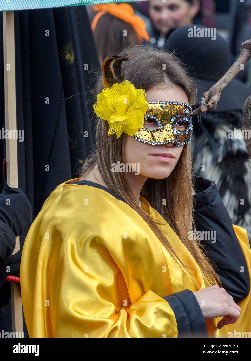 A vertical portrait of female wearing golden carnival mask Stock Photo ...