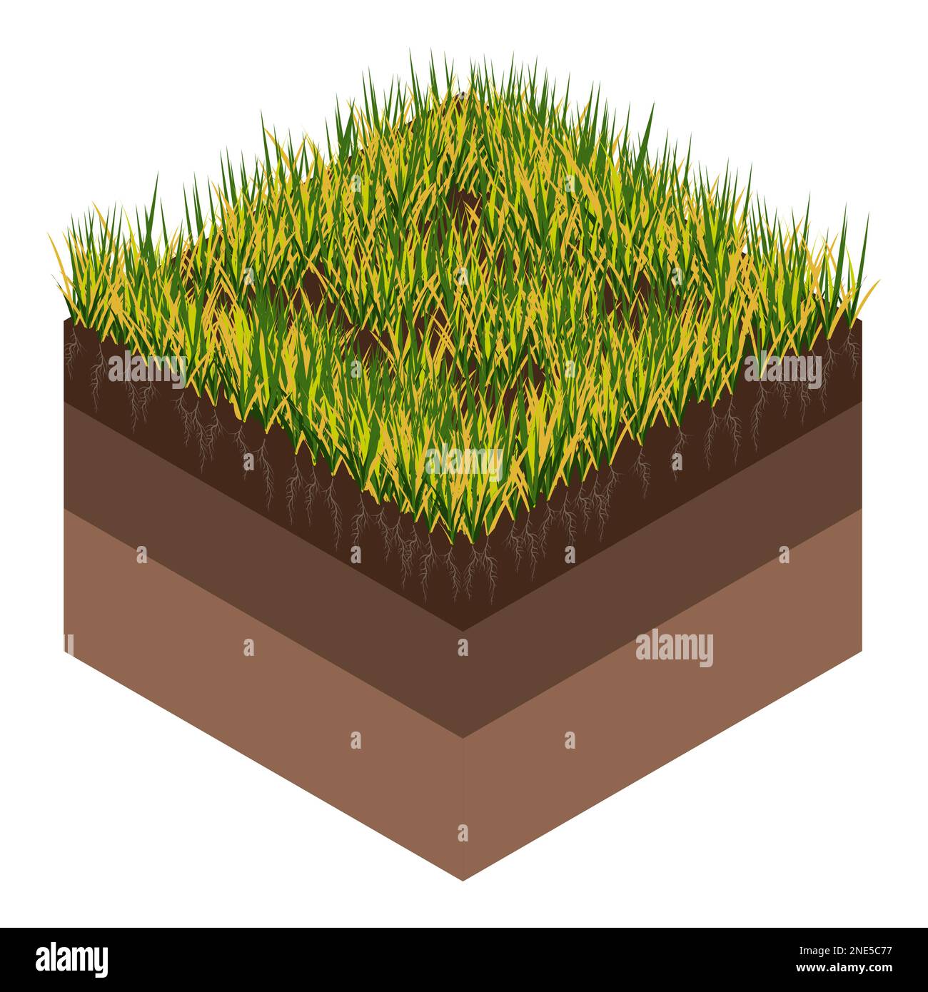 Lawn care - aeration and scarification. Labels by stage-before. Intake of substances-water, oxygen, and nutrients to feed the grass and soil. Vector Stock Vector