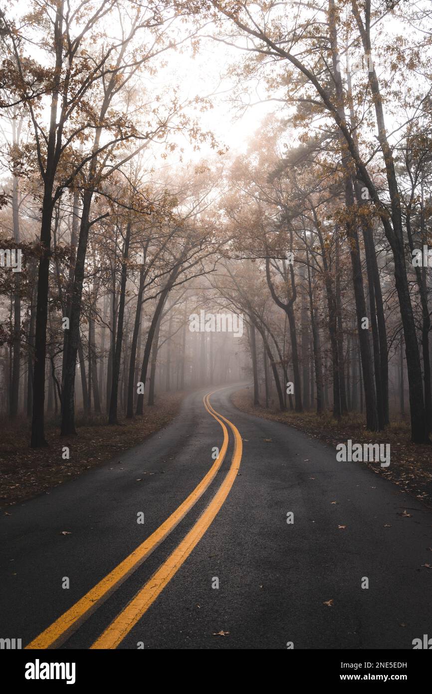 A vertical shot of an empty road surrounded by trees in autumn Stock ...