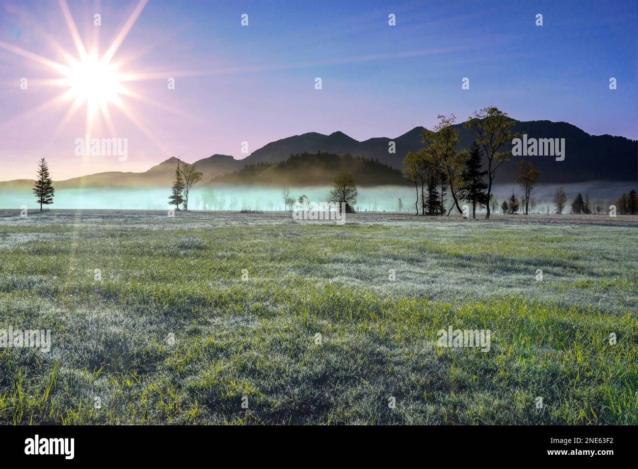 view of the Ester Mountains at sunrise, Germany, Bavaria, Murnau, Habach Stock Photo