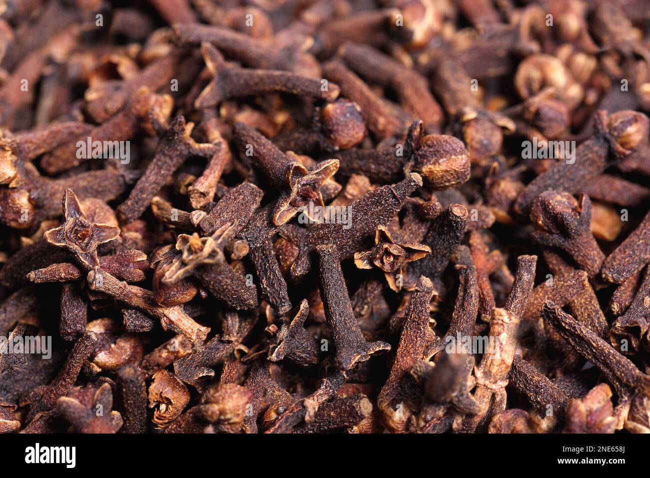 clove shoes lavender