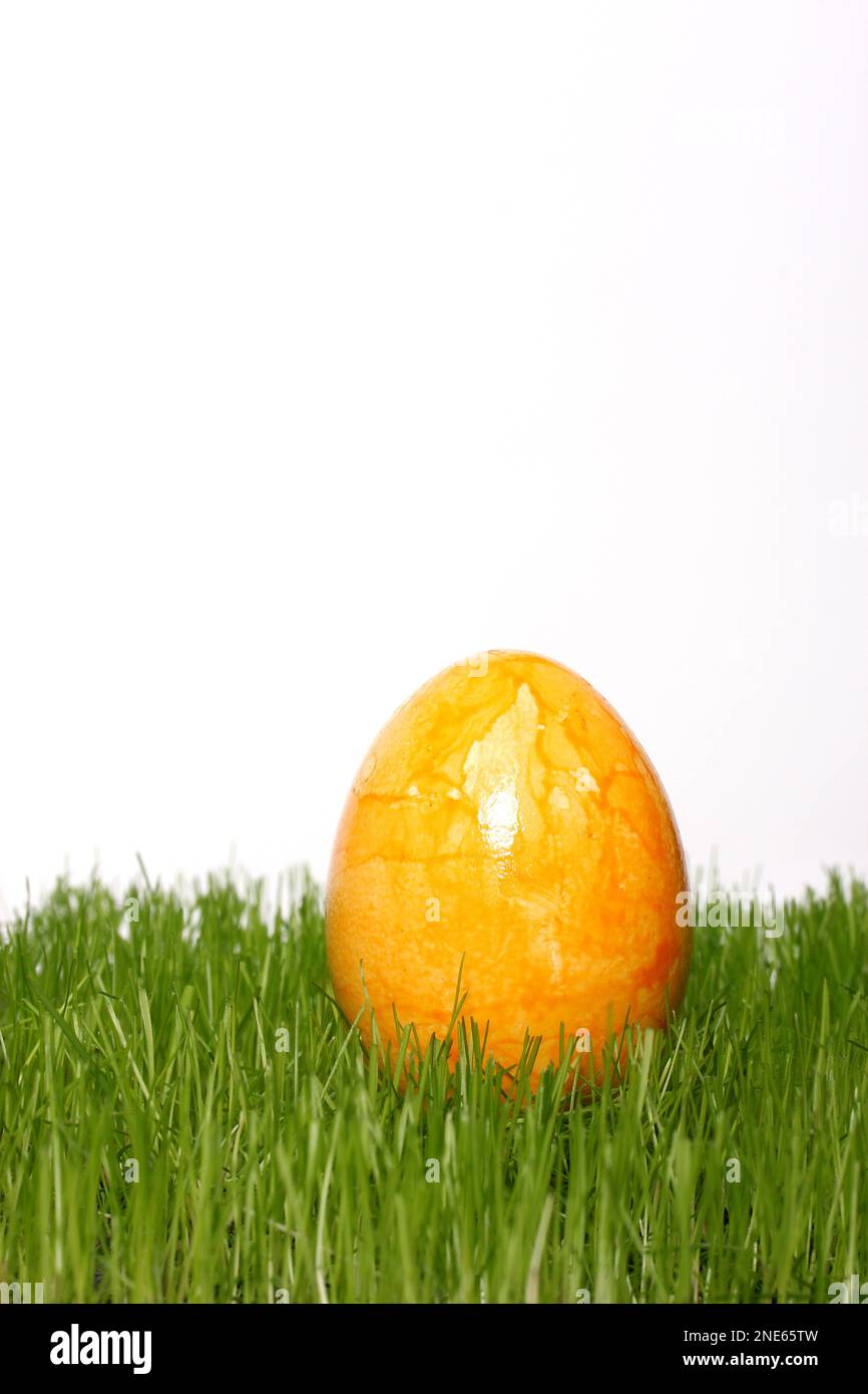 yellow dyed Easter egg in fresh grass Stock Photo