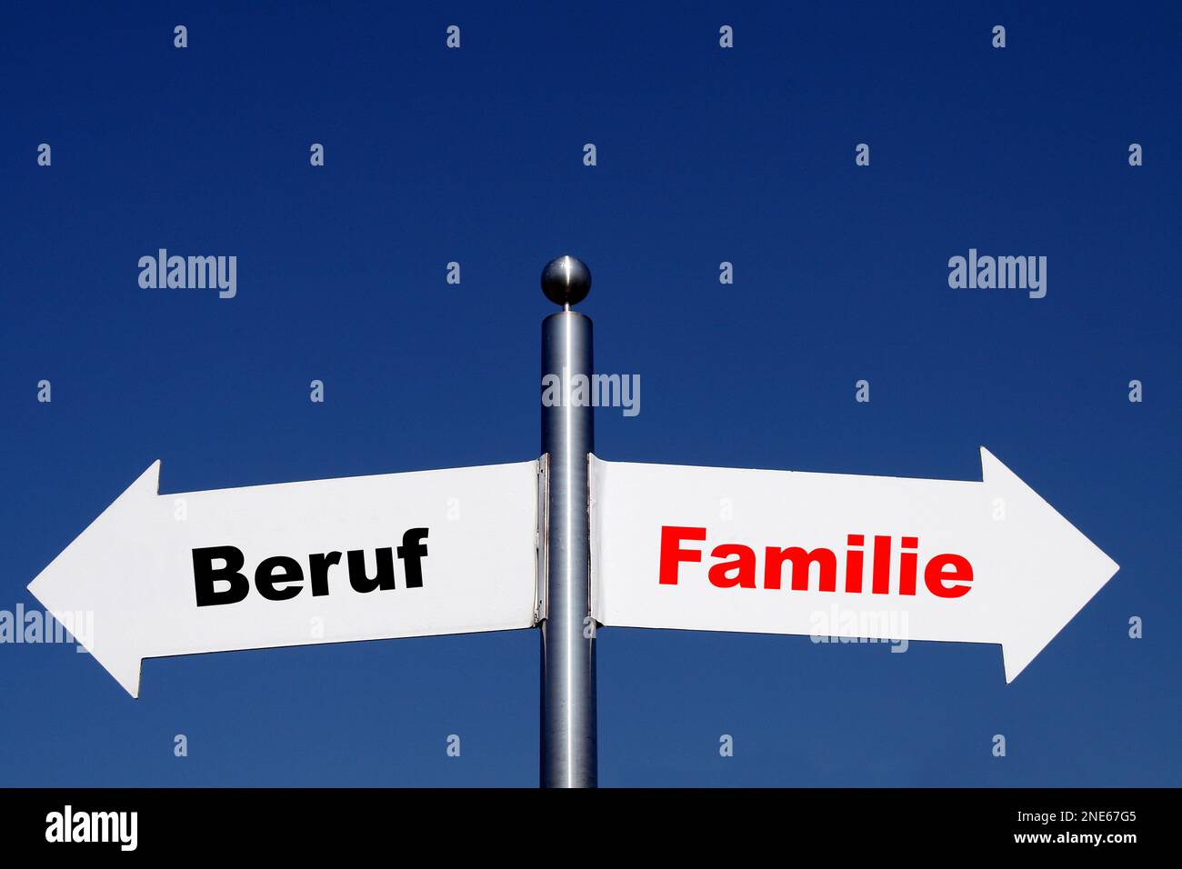 signposts pointing in different directions, options job - family Stock Photo