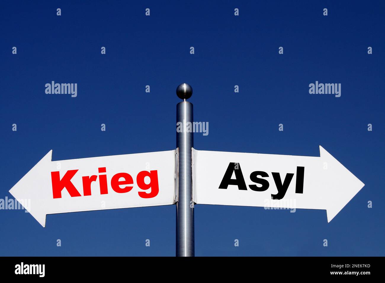 signposts pointing in different directions, options war - asyl Stock Photo