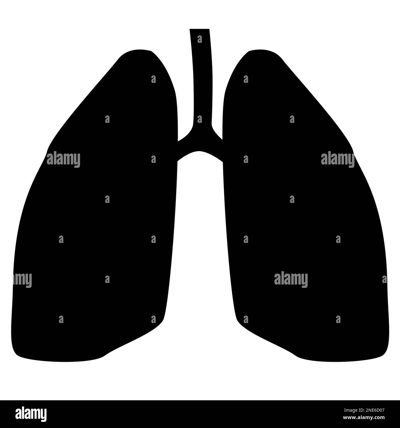 Human lungs clipart Black and White Stock Photos & Images - Alamy