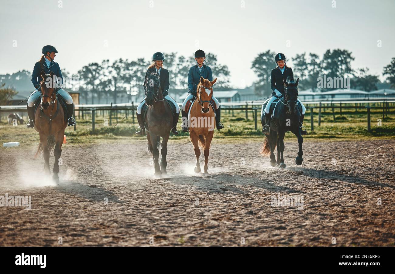 Equestrian, group and women on a horse for sports, training and show on
