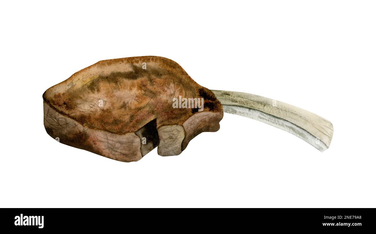 Watercolor roast lamb leg on bone isolated on the white background