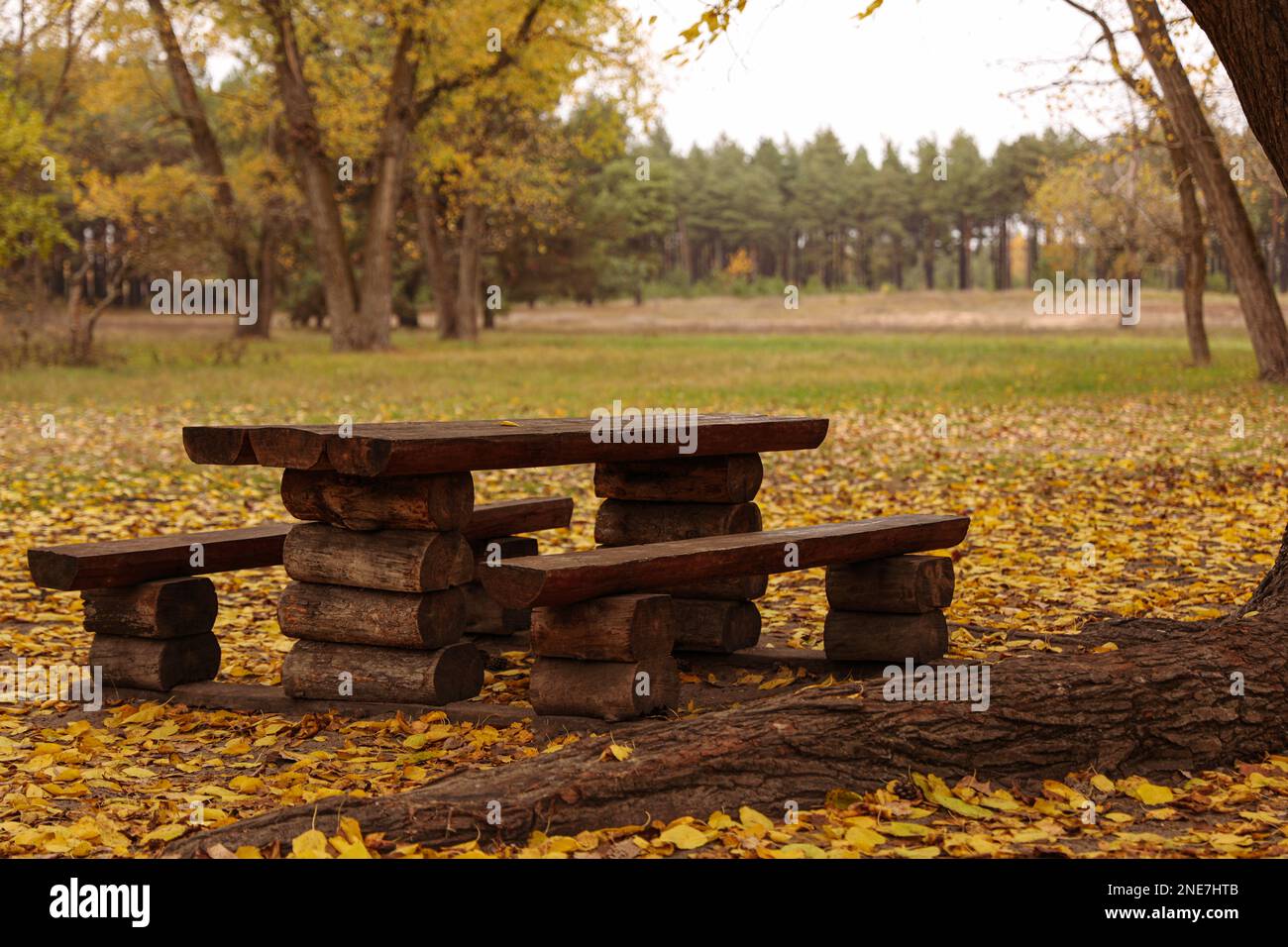 Empty wooden table with benches in autumn forest Stock Photo - Alamy