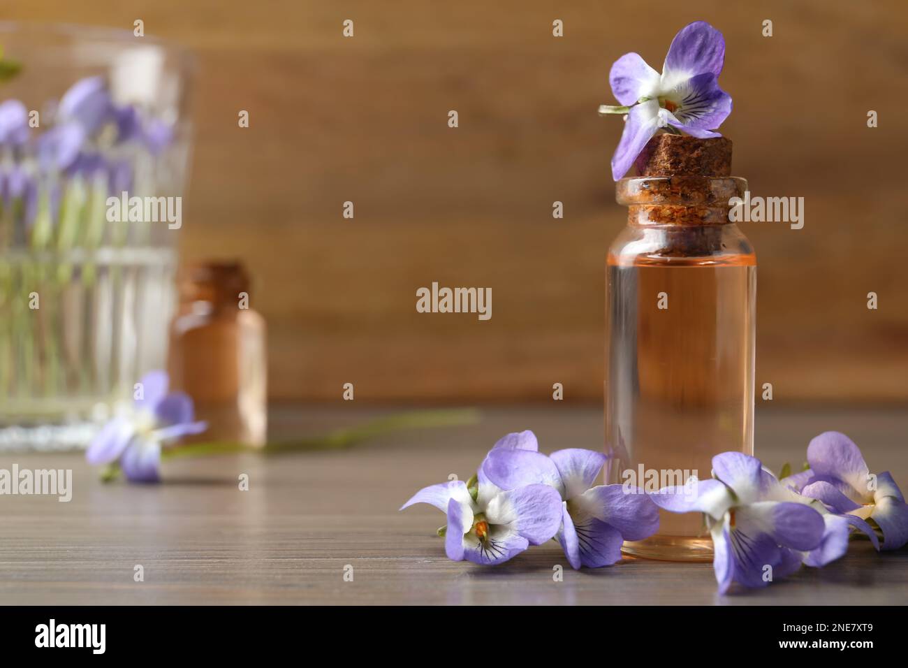 Beautiful wild violets and essential oil on wooden table, space for text. Spring flowers Stock Photo