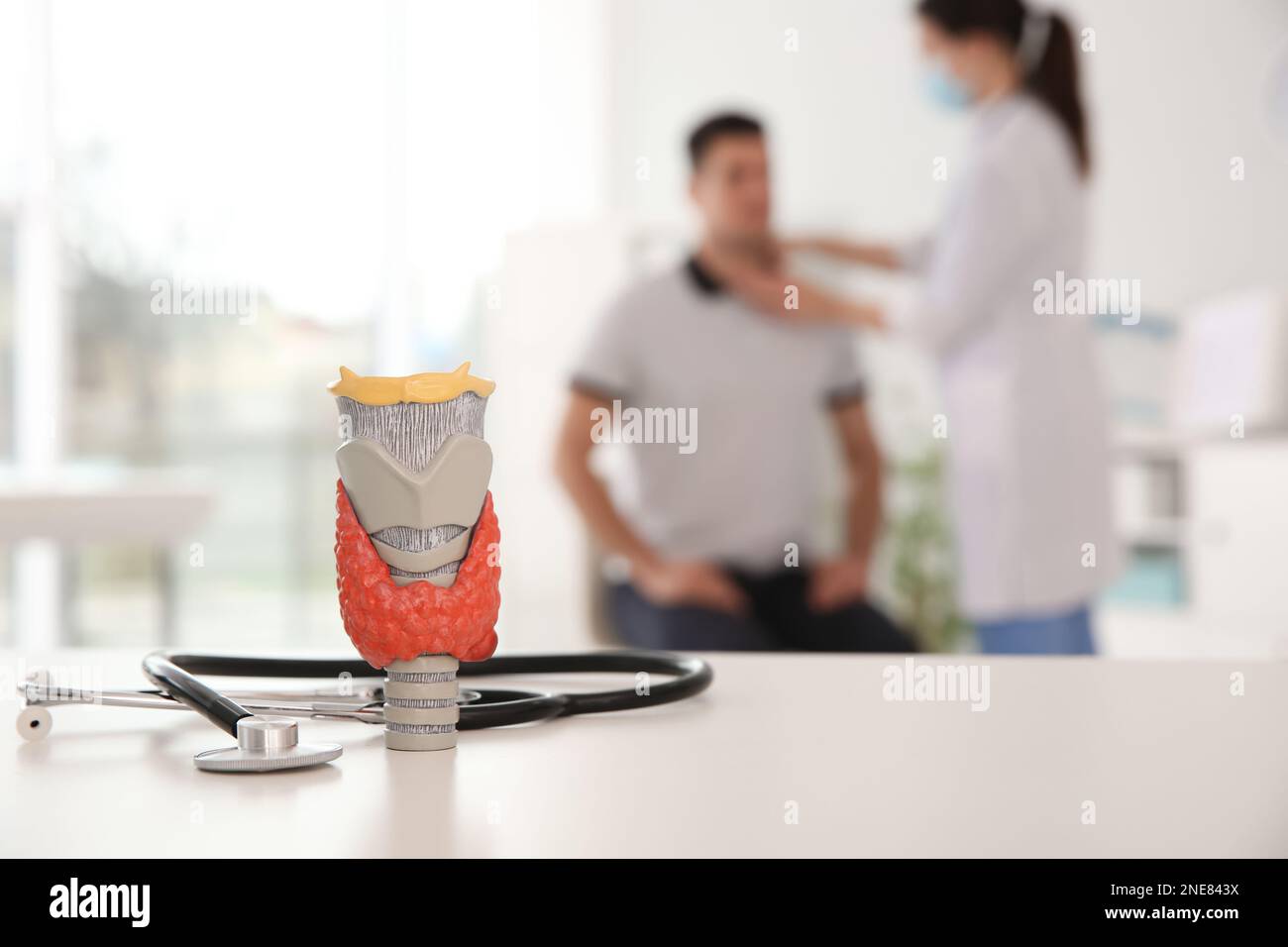 Doctor examining patient in office, focus on plastic model of thyroid with tumor Stock Photo