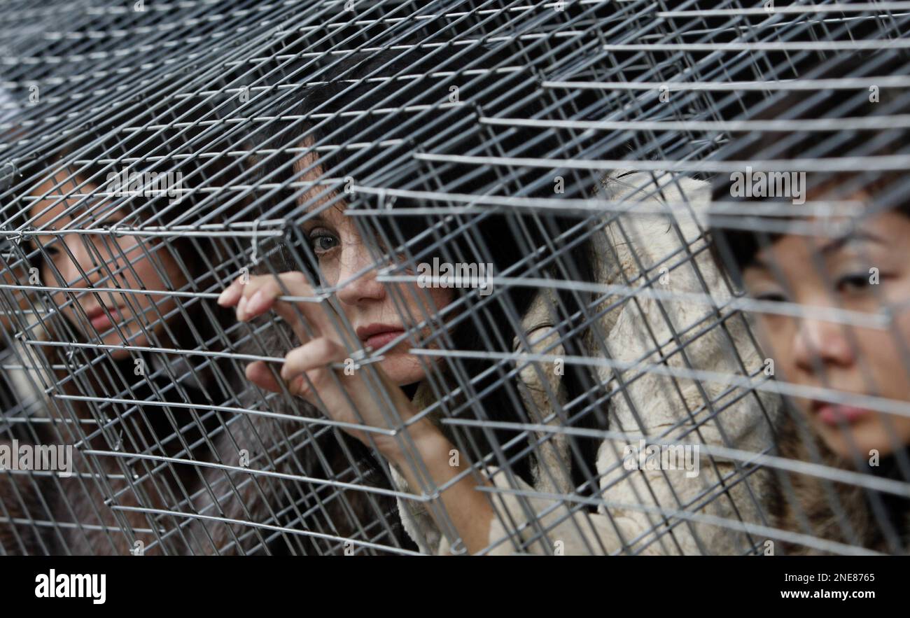 Activists from the People for the Ethical Treatment of Animals, from ...