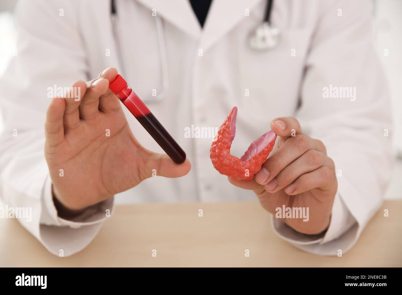 Doctor holding plastic model of thyroid and test tube with blood sample at wooden table, closeup Stock Photo