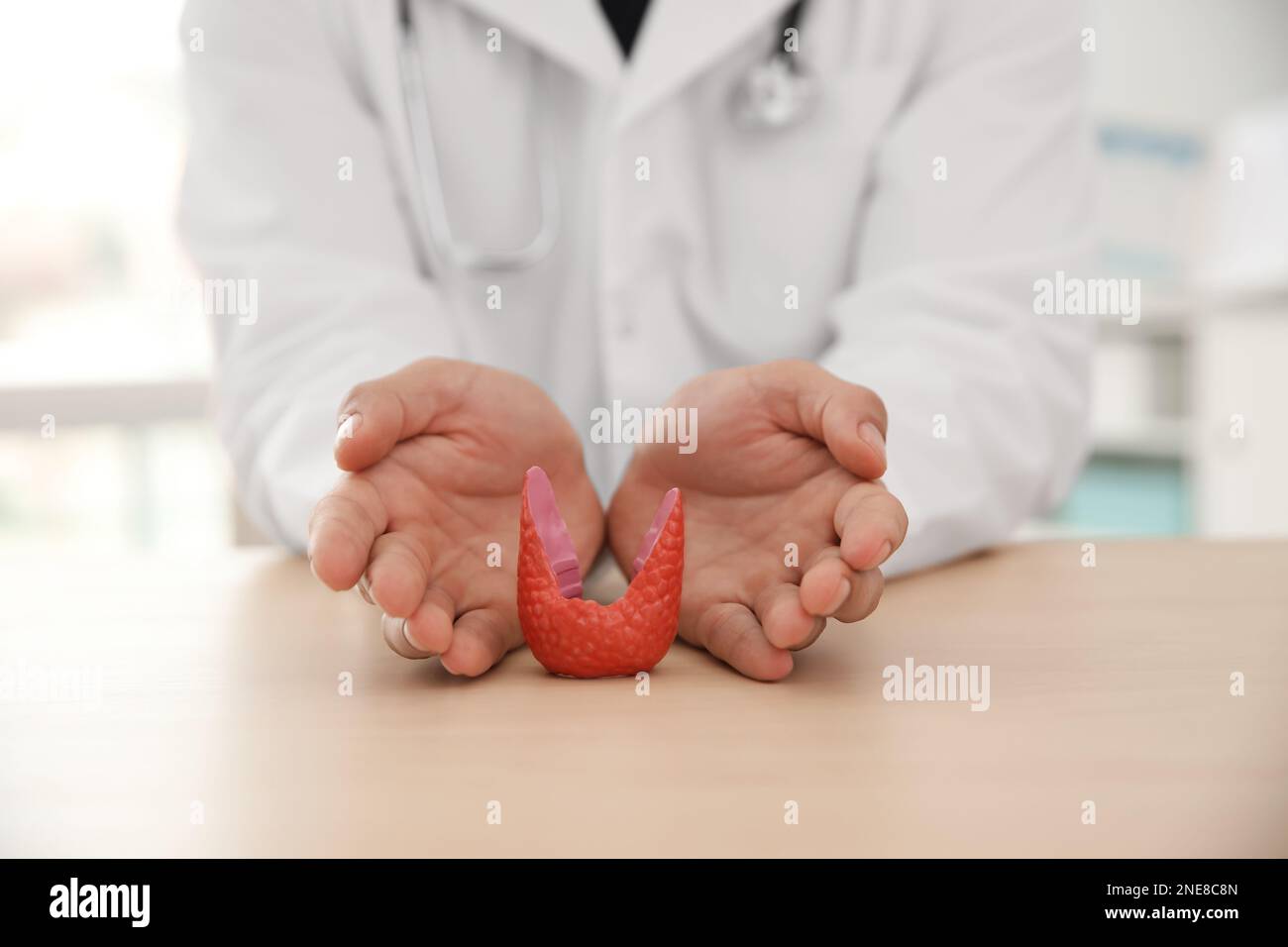 Doctor with plastic model of healthy thyroid at wooden table in office, closeup Stock Photo