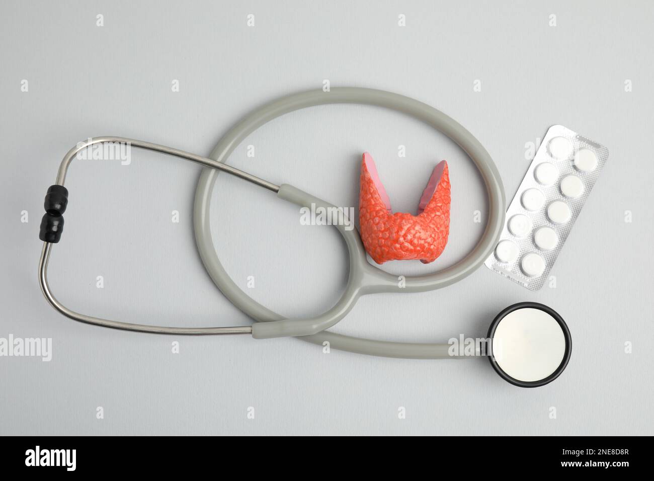 Plastic model of healthy thyroid, pills and stethoscope on grey background, flat lay Stock Photo